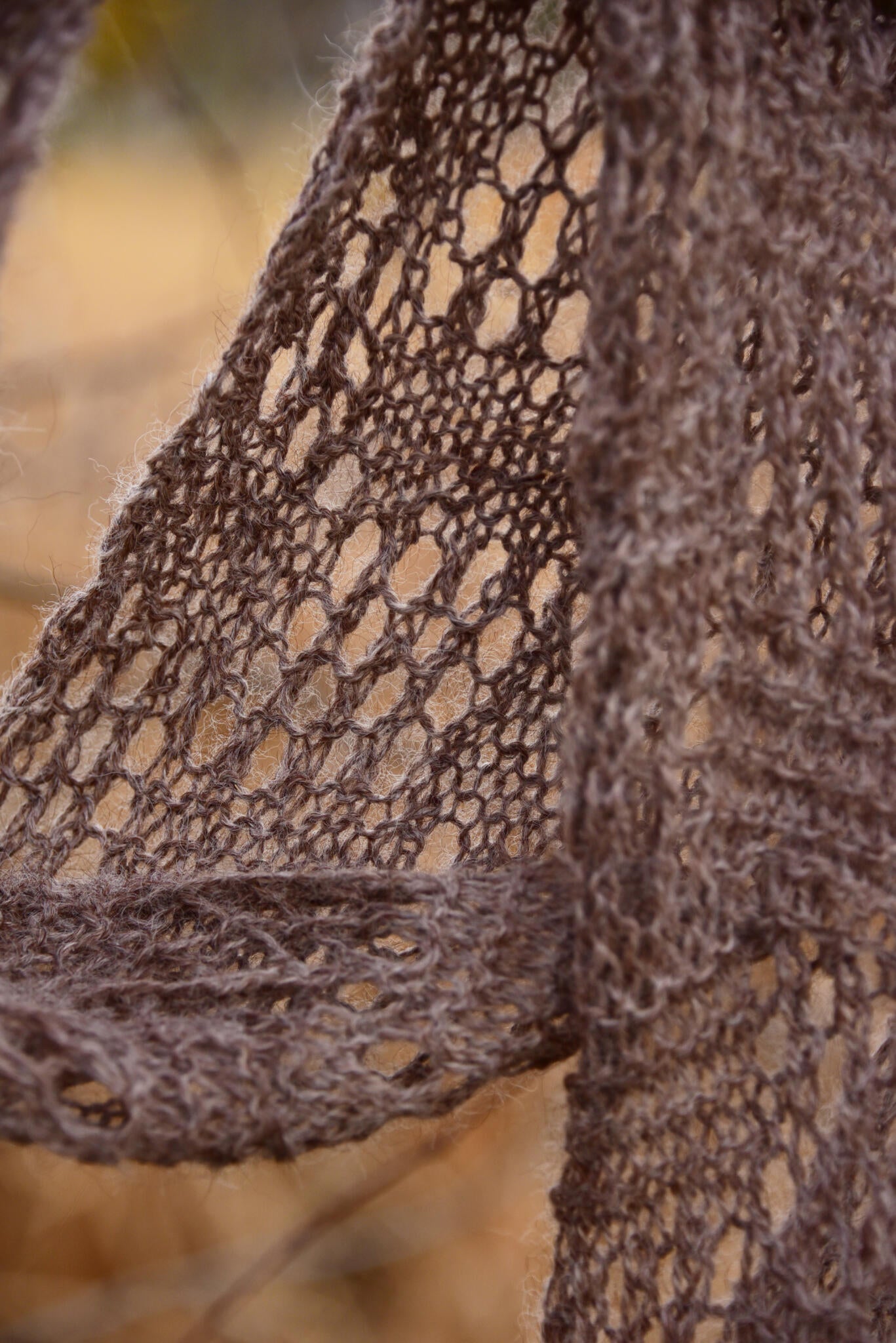 Bison Sock Yarn