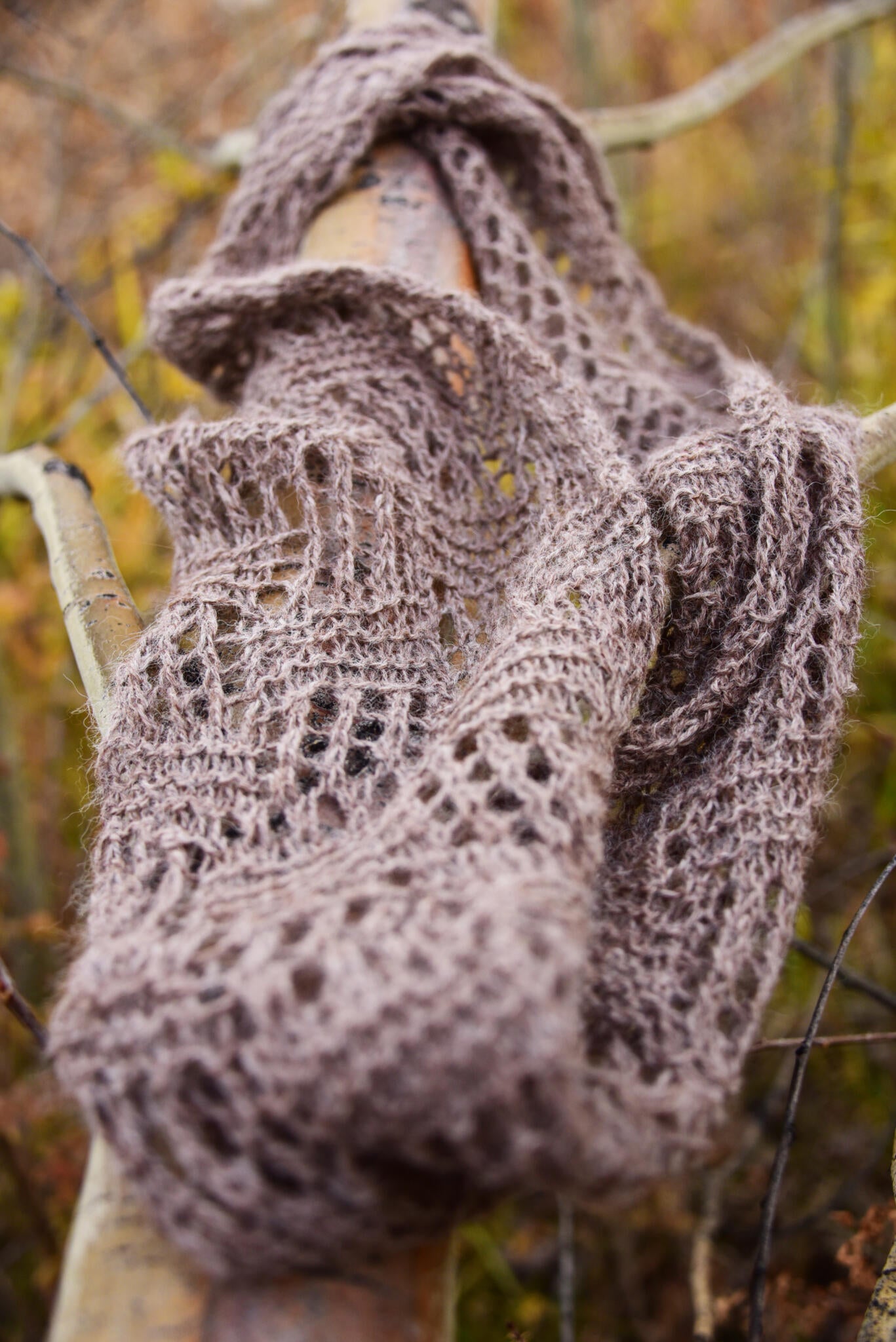 Bison Sock Yarn