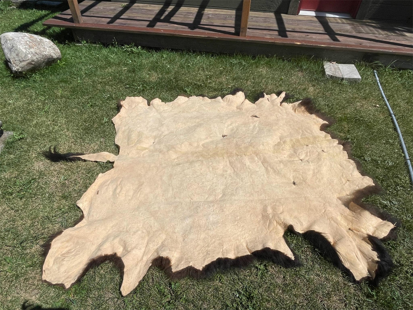 Bison Robe - SOLD